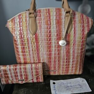 Colorful Crocodile Embossed Women's Bag Set